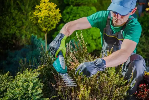 landscaping services Napoleon
